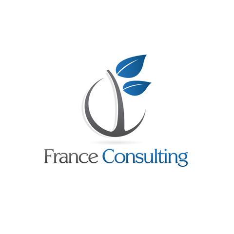 France Consulting